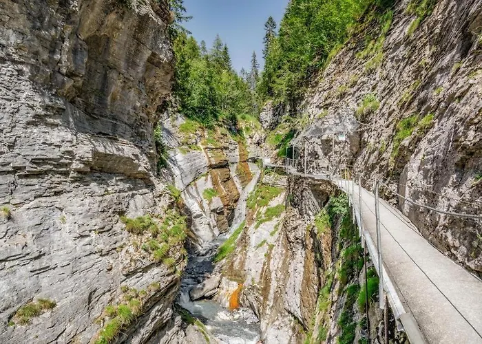 Octogon - Free Parking - Wii - Sportarena