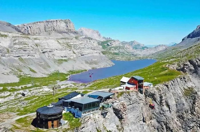 Octogon - Free Parking - Wii - Sportarena