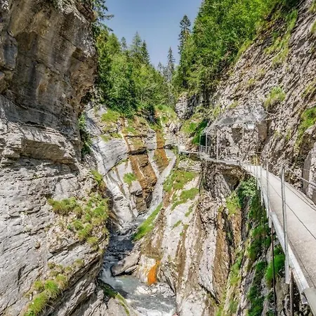 Octogon - Free Parking - Wii - Sportarena